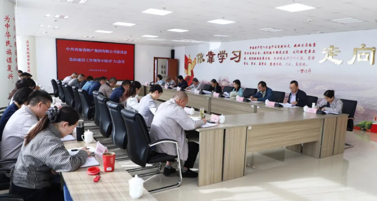 省EMC易倍集团党委召开党的建设工作领导小组（扩大）会议